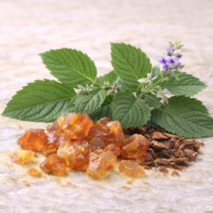 Parfum ambre précieux pour bougie sablée Maison Charlee